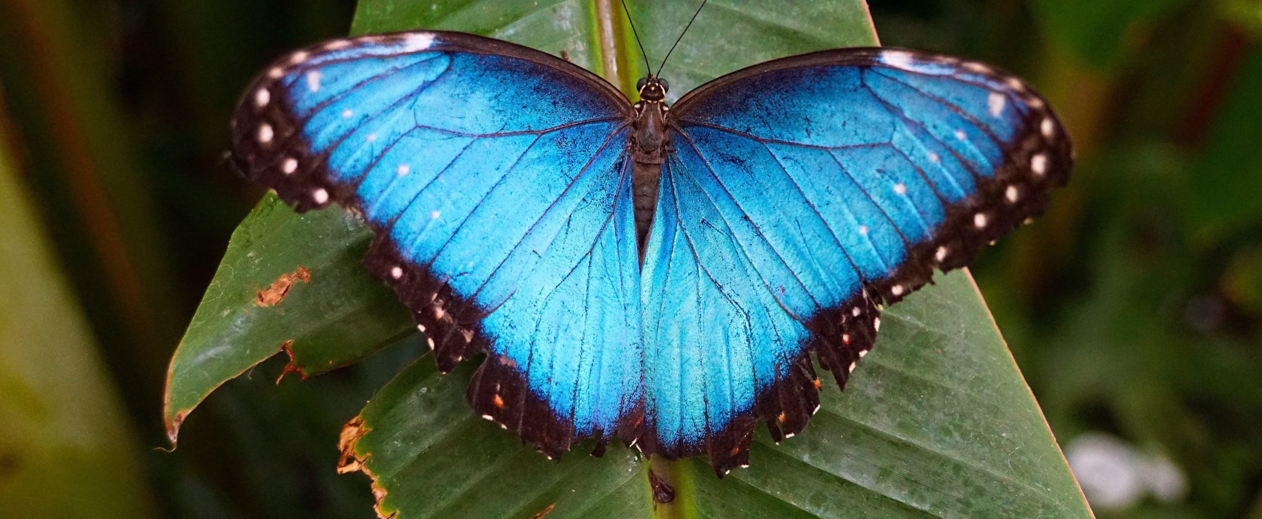 Trust Leads to Transformation
